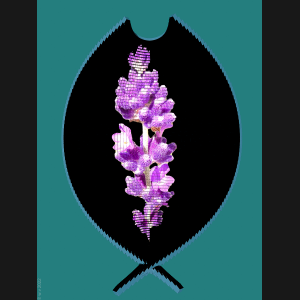 Lavendel-Stillleben